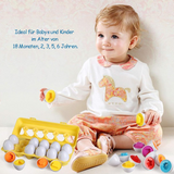 Montessori Lernspielzeug Geometrische Eier – Dein Tor zur kreativen Lernwelt Deines Kindes